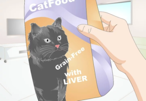غذای گربه سالم