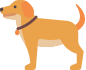 سگ
