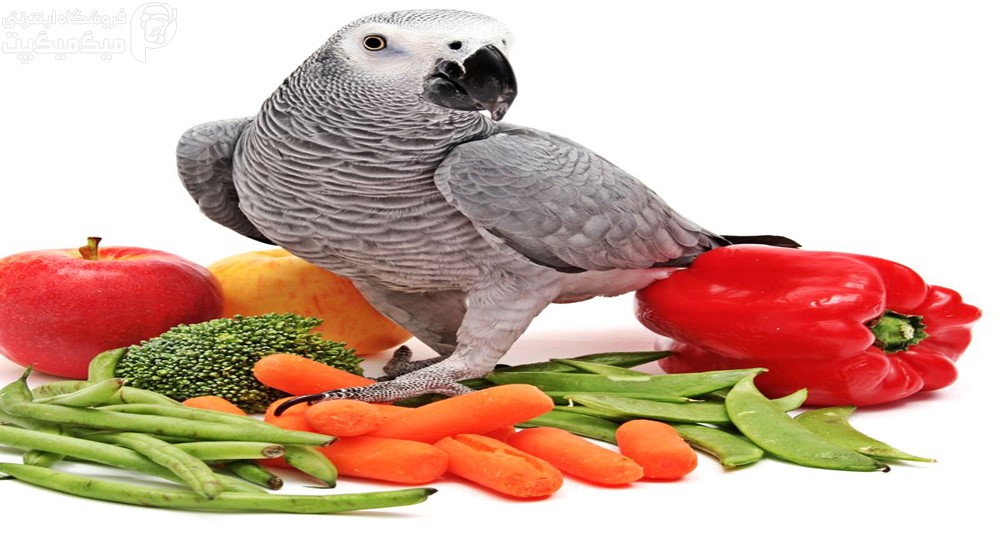 سبزیجات مناسب برای پرندگان